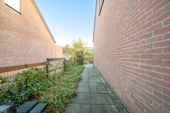 Foto 11 van Eendenkooi 10