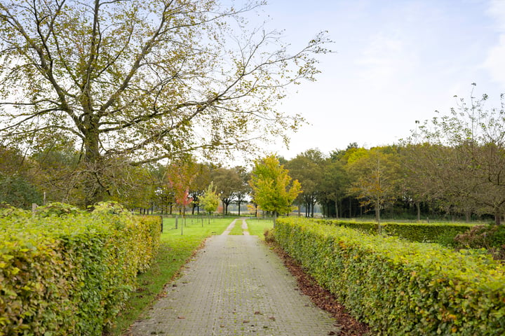 Bekijk foto 33 van Withagenweg 50