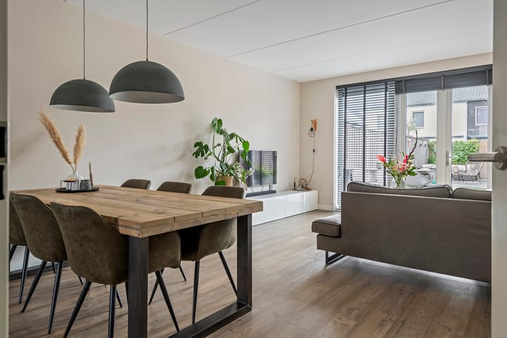 Photo 11 of Purper 9