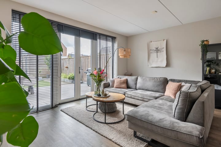 Photo 14 of Purper 9