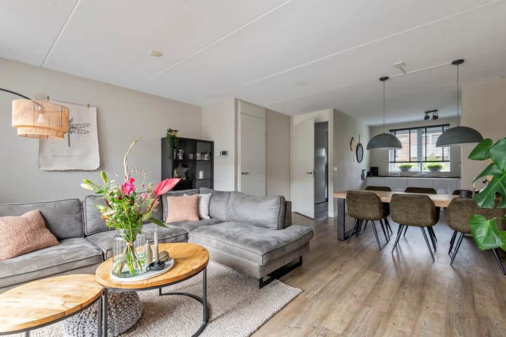 Photo 15 of Purper 9