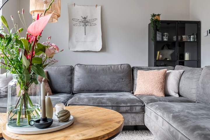 Photo 17 of Purper 9