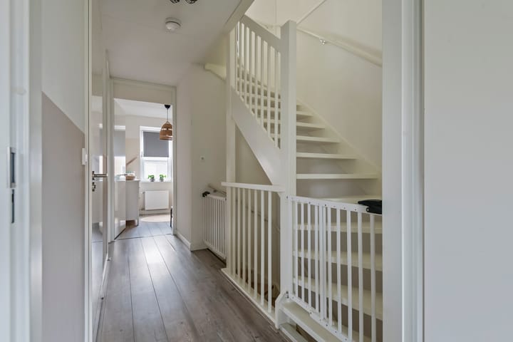 Photo 39 of Purper 9