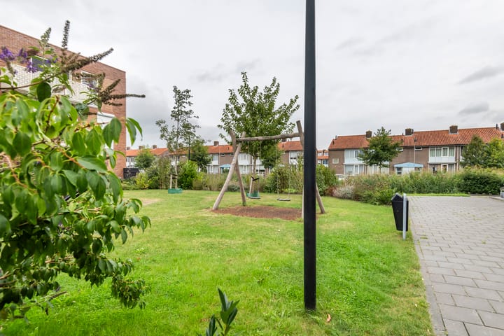 Photo 55 of Purper 9