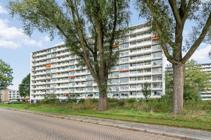 Foto 30 van van Harinxmaplein 154