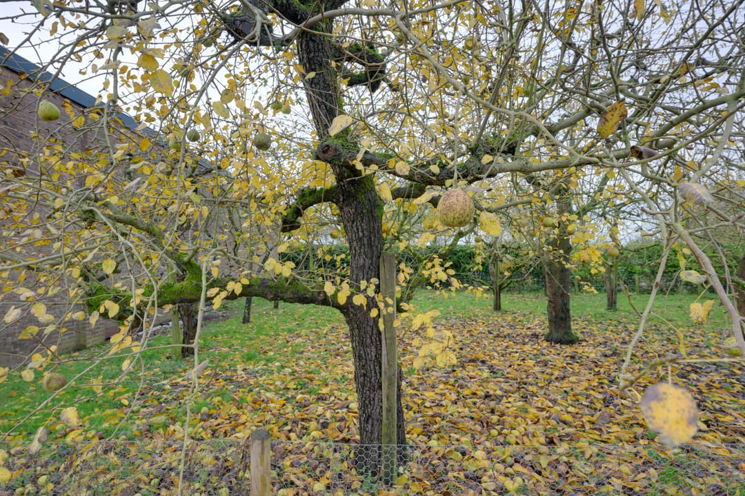 Foto 62 van Appelaarseweg 18-A