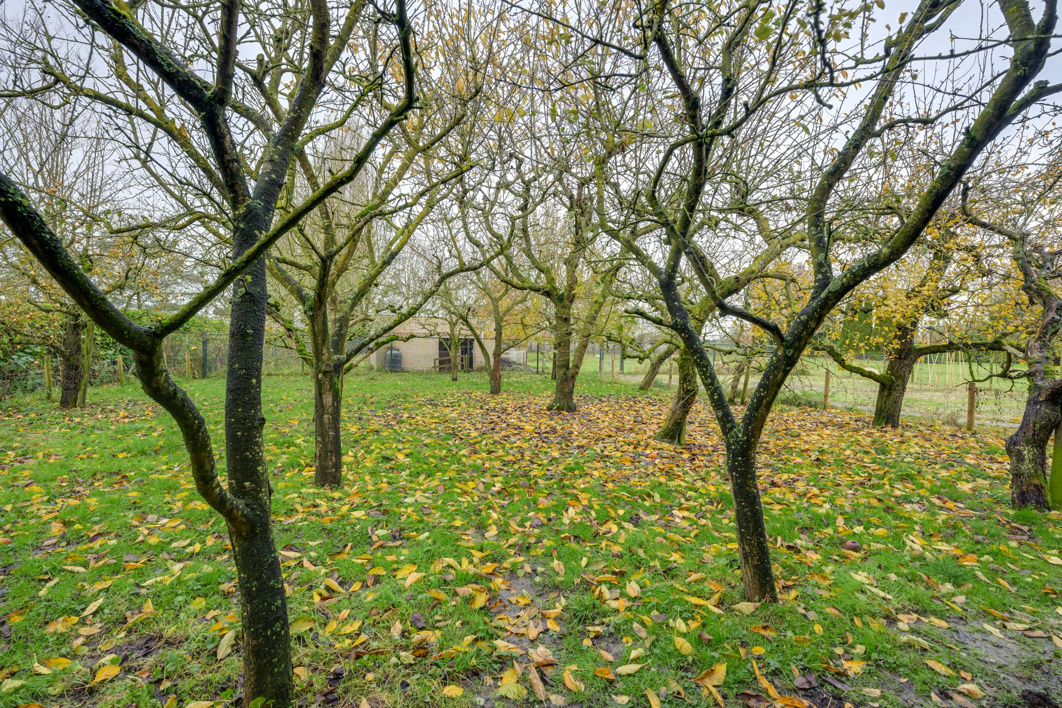 Foto 63 van Appelaarseweg 18-A