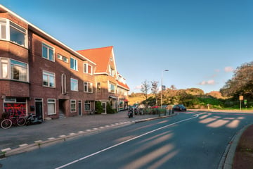 Tesselsestraat thumbnail