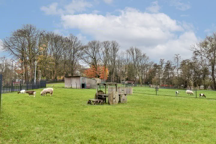 Foto 31 van Dudokstraat 124