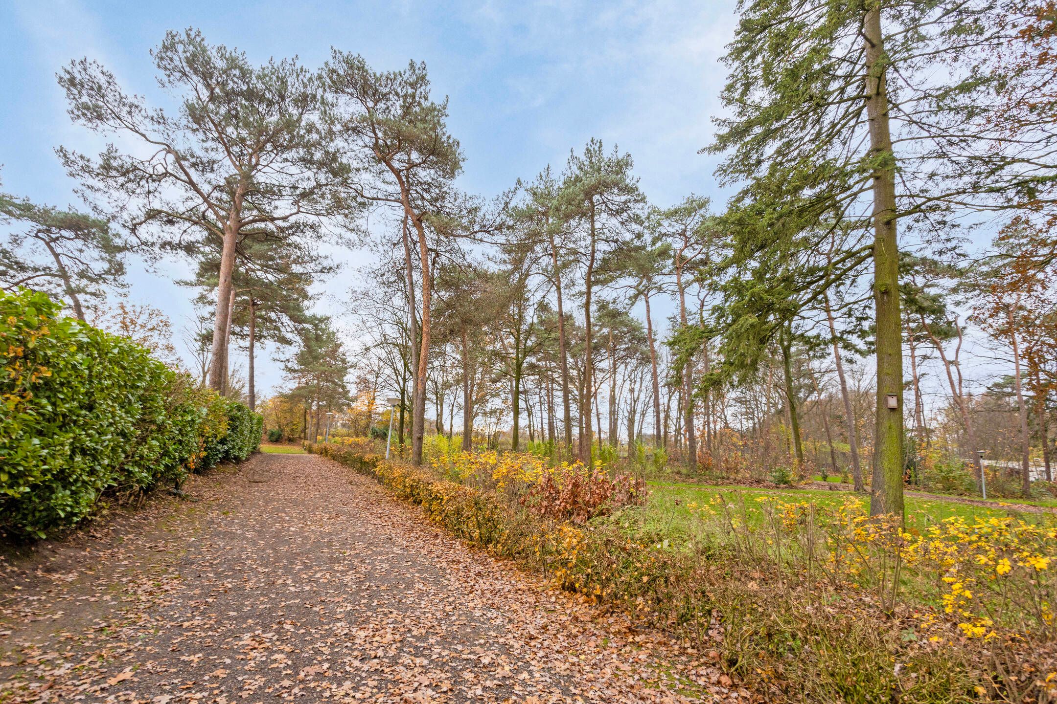 Foto 18 van Zwembadweg 37-119