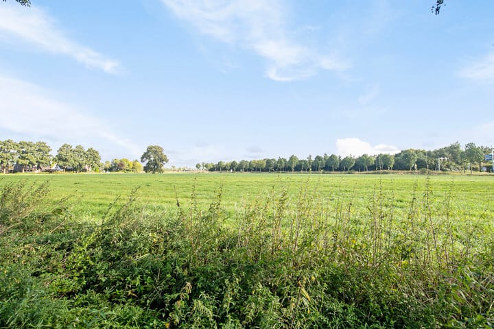 Foto 52 van Buitenweide 17