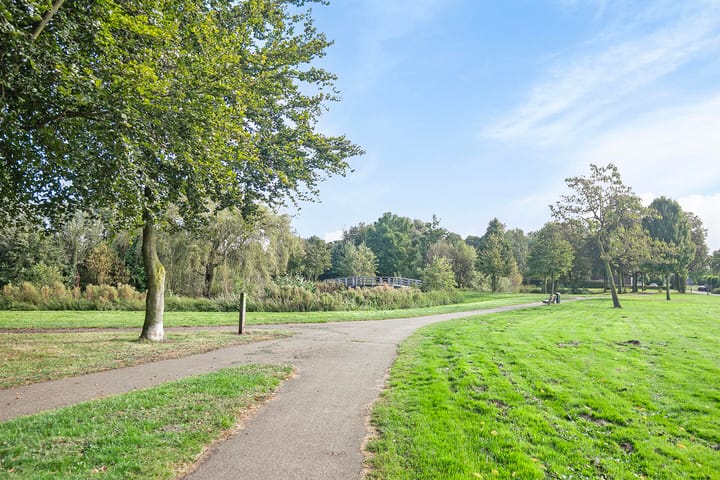 Foto 53 van Buitenweide 17