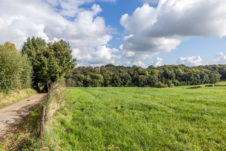 View photo 30 of Scheulderdorpsstraat 55