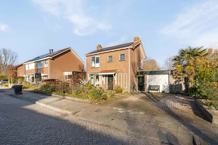 undefined main image