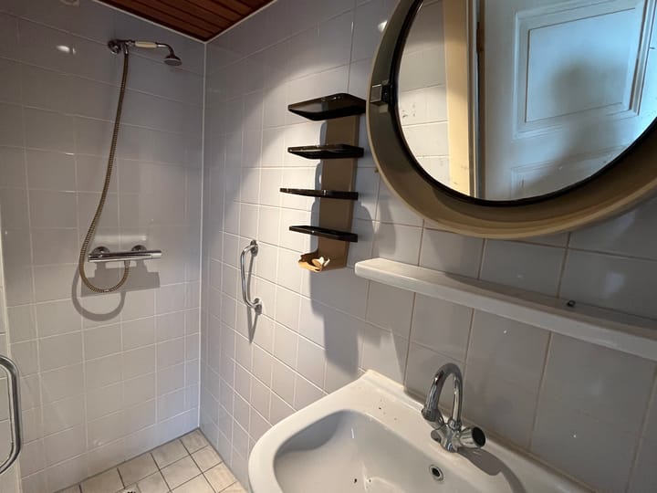 Foto 17 van Wagengouw 130