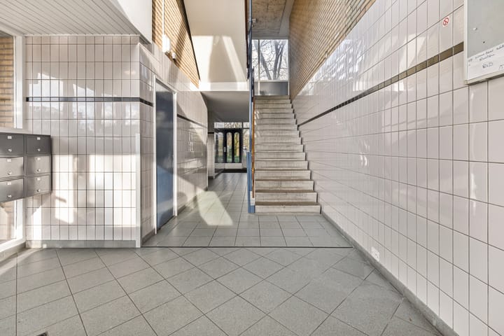 Foto 5 van Lauwers 146