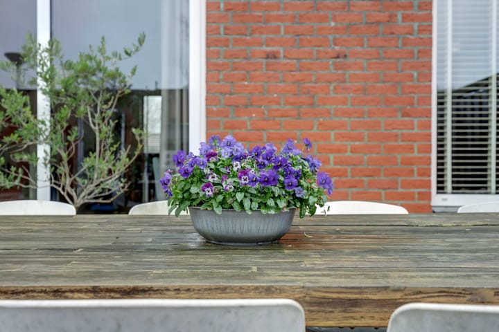 Foto 40 van Meidoornhof 26