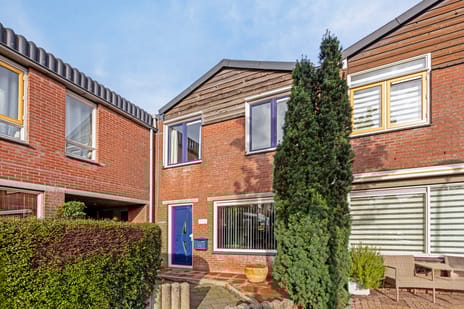 undefined main image