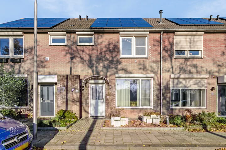 Foto 1 van Meerval 25