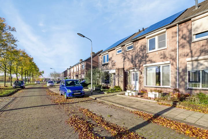 Foto 7 van Meerval 25