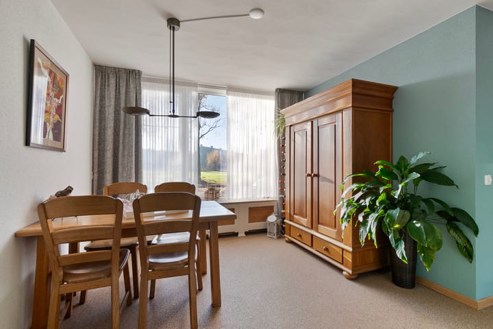 Foto 12 van Meerval 25