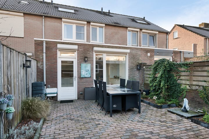 Foto 25 van Meerval 25