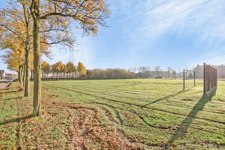 Foto 29 van Meerval 25