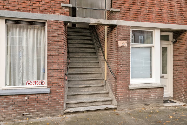 View photo 5 of Linnaeusstraat 211