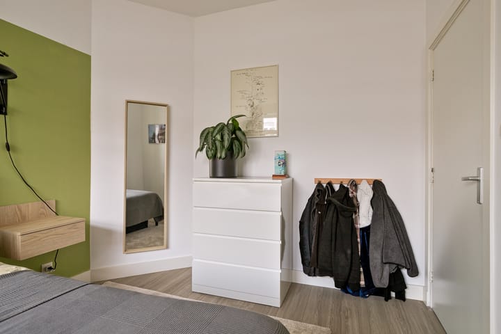 Foto 22 van Linnaeusstraat 211