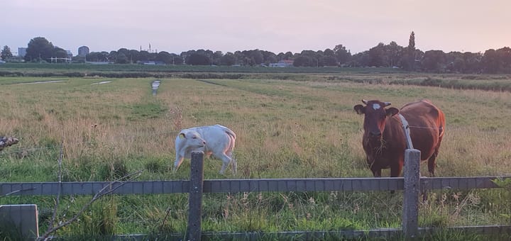 Foto 34 van Kadoelenweg 288