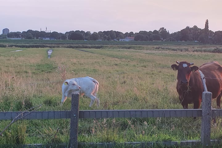 Bekijk foto 34 van Kadoelenweg 288