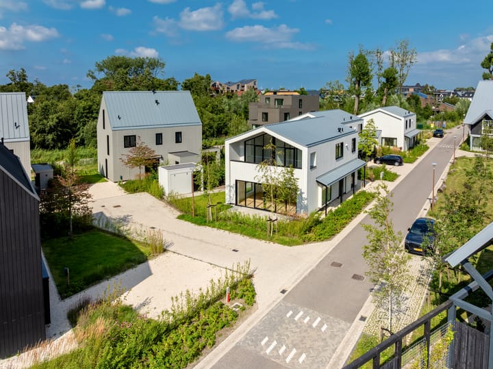 Foto 24 van IJsvogel 6