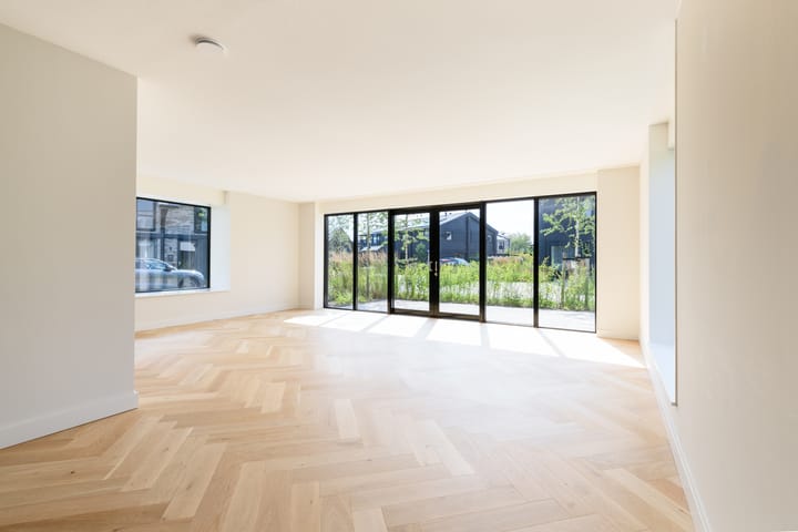 Foto 2 van IJsvogel 6