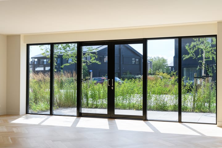 Foto 3 van IJsvogel 6