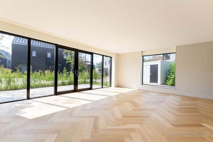 Foto 4 van IJsvogel 6