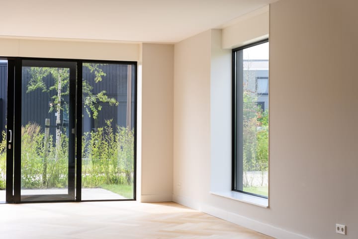 Foto 5 van IJsvogel 6