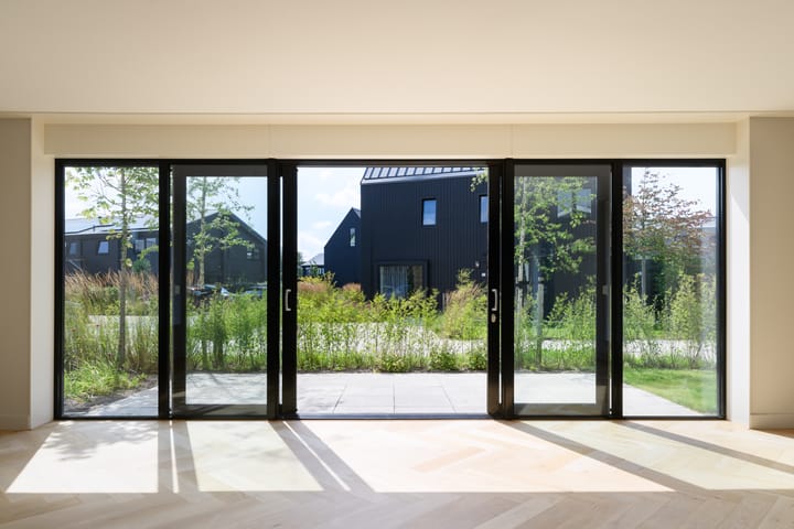 Foto 6 van IJsvogel 6