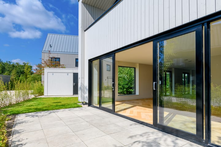 Foto 10 van IJsvogel 6