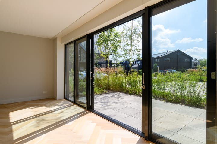 Foto 7 van IJsvogel 6