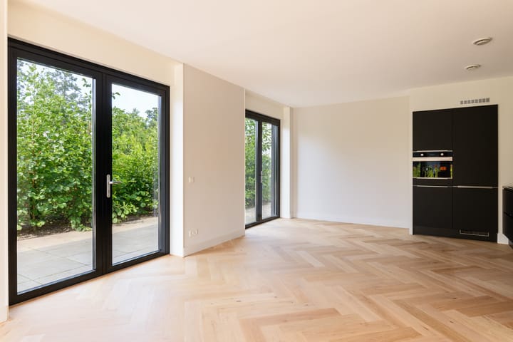 Foto 9 van IJsvogel 6