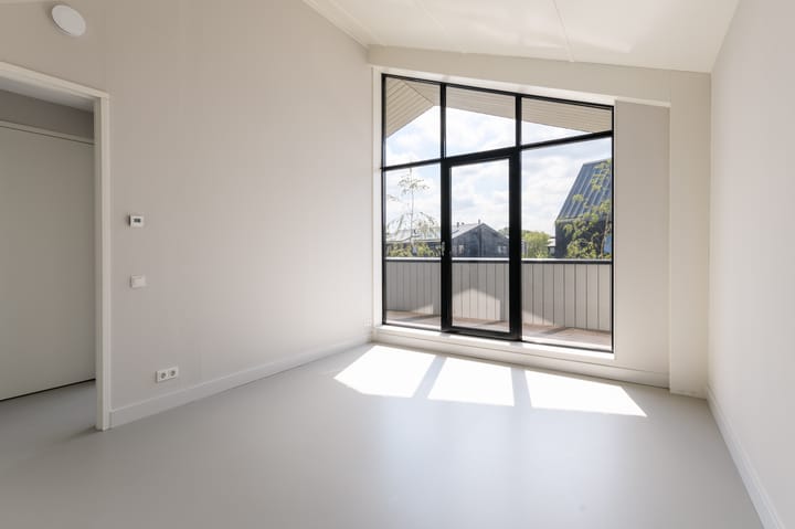 Foto 16 van IJsvogel 6