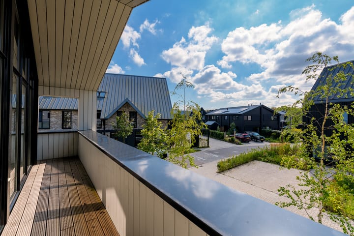 Foto 29 van IJsvogel 6