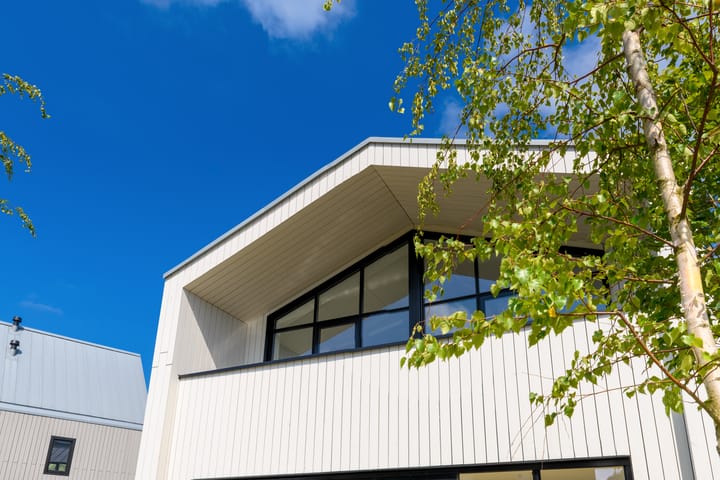 Foto 30 van IJsvogel 6