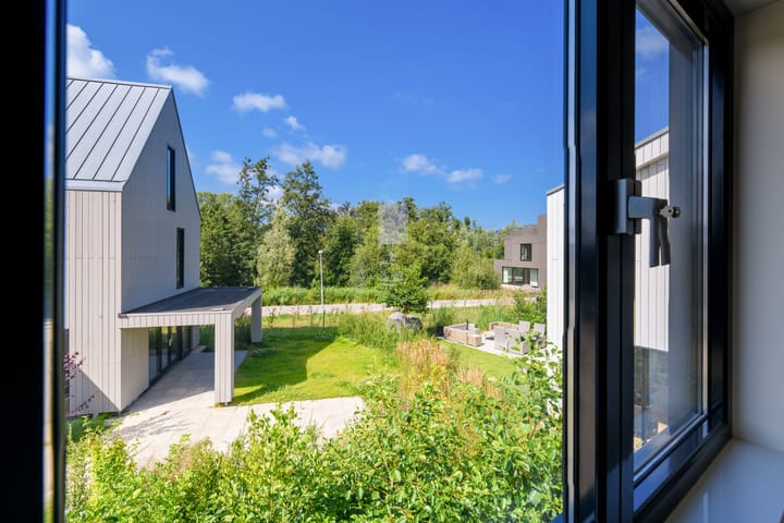 Foto 19 van IJsvogel 6