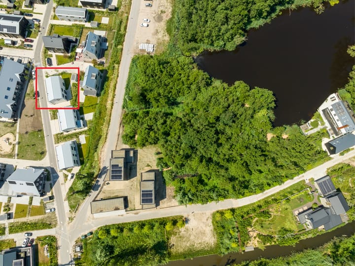 Foto 35 van IJsvogel 6