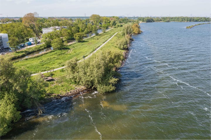 Foto 36 van IJsvogel 6