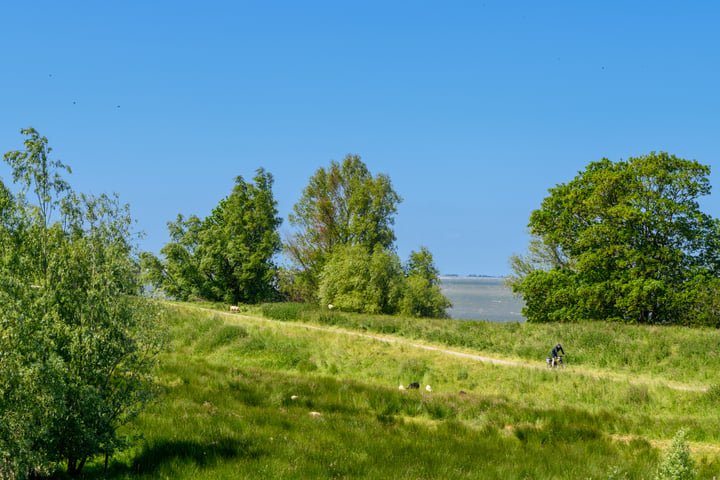 Bekijk foto 37 van IJsvogel 6