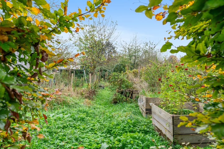 Foto 25 van Maasstraat 18