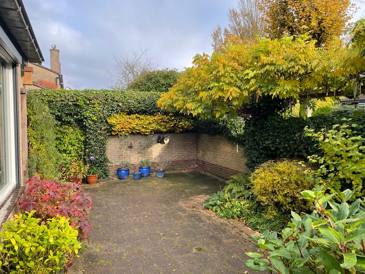 Foto 36 van Beukenlaan 257