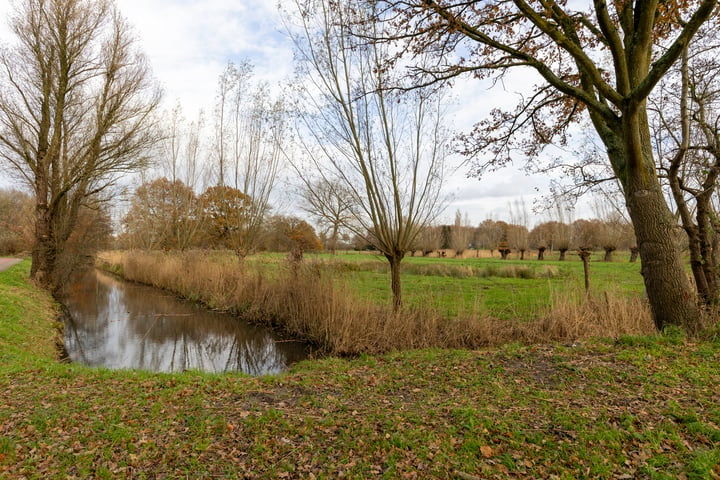 Bekijk foto 38 van Vekenoord 55